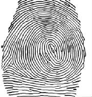 fingerprint.jpg